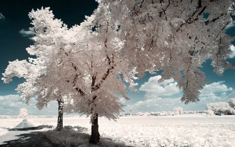��Ӱ���ɣ�������Ӱ�µ���ɫ�����ѩ��--�������