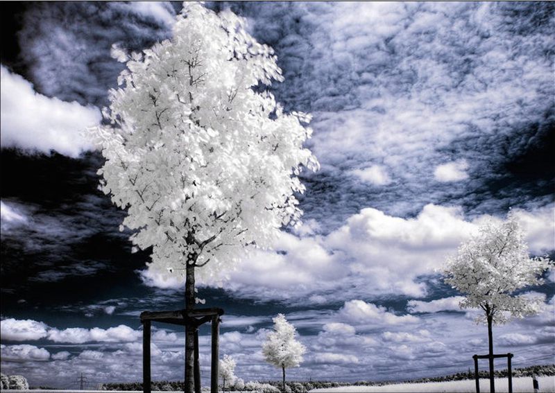 ��Ӱ���ɣ�������Ӱ�µ���ɫ�����ѩ��--�������