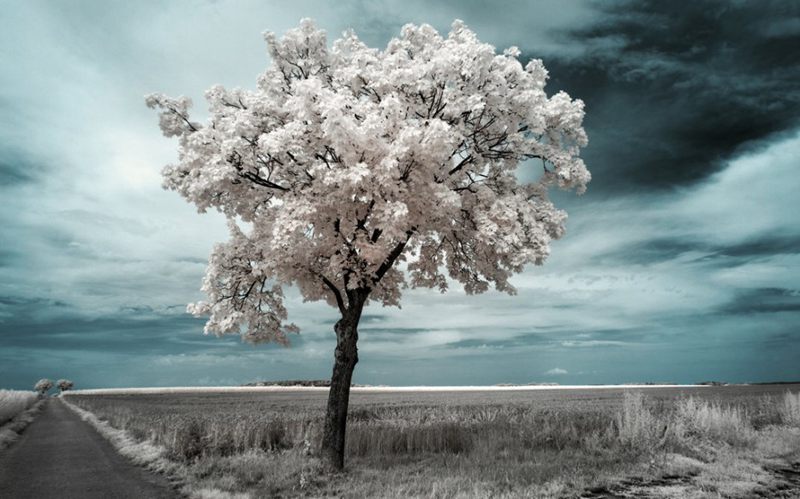 ��Ӱ���ɣ�������Ӱ�µ���ɫ�����ѩ��--�������
