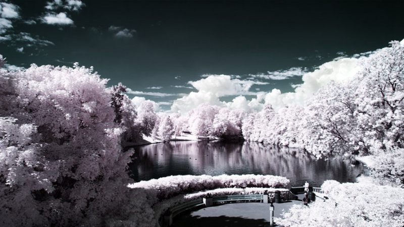 ��Ӱ���ɣ�������Ӱ�µ���ɫ�����ѩ��--�������