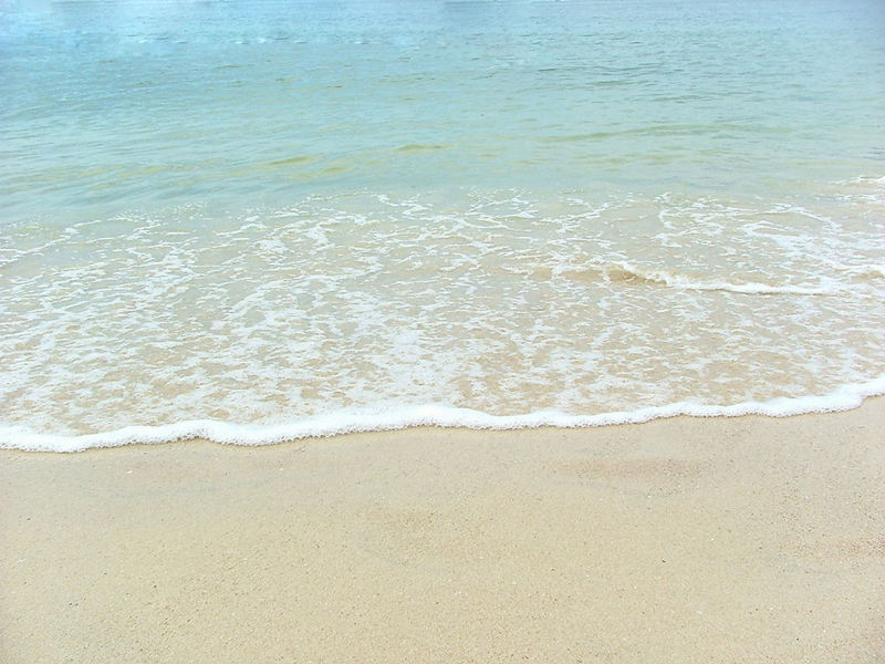 �˴��й�������̲��������Ӿ��ȥ��--�������
